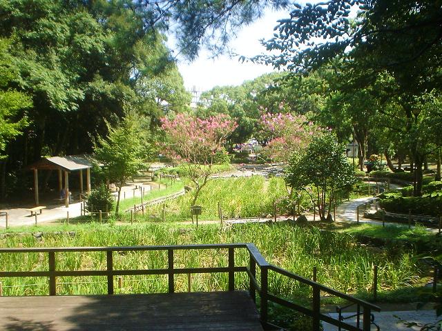 004a.jpg