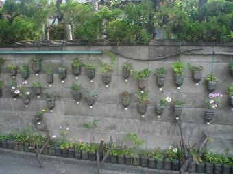 004a.jpg