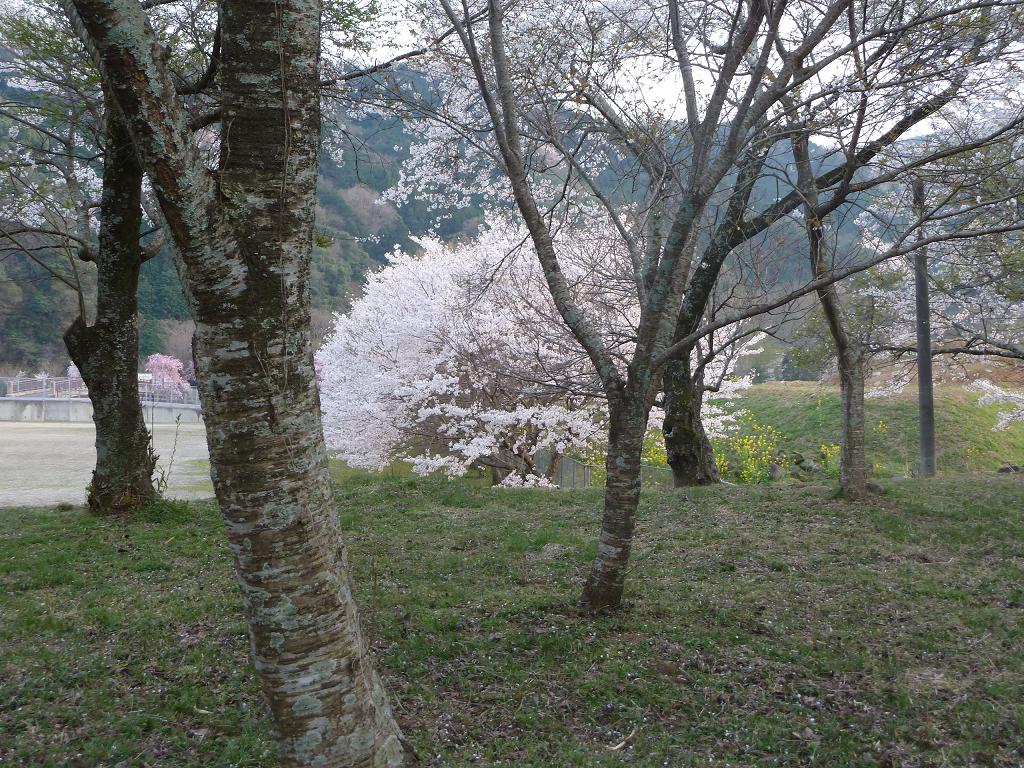062a.jpg