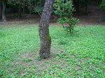 091008 003.jpg