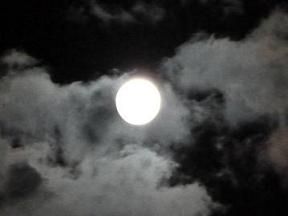 2011 1111.jpg