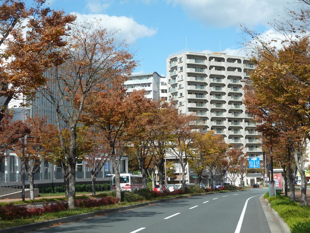 2011kokura4.jpg