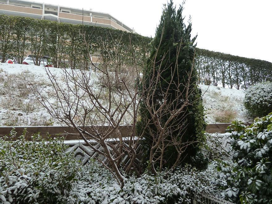 20160124.jpg