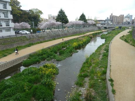 いたびつ川a.jpg