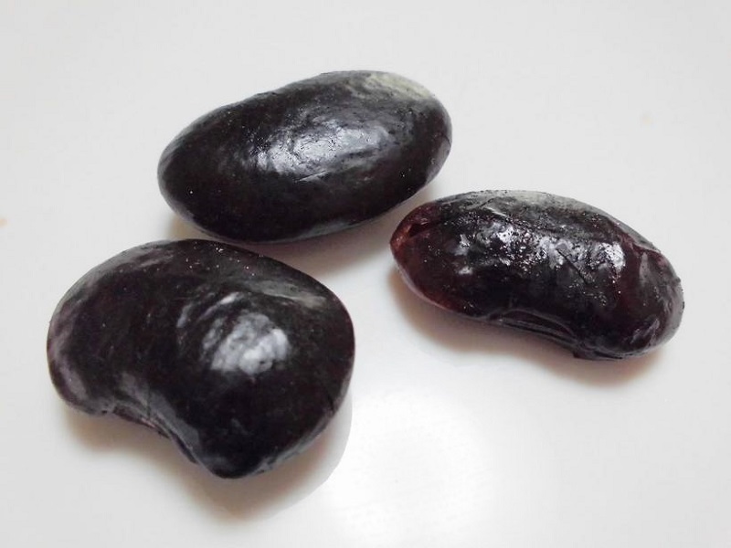 ぬれ華まめA.jpg