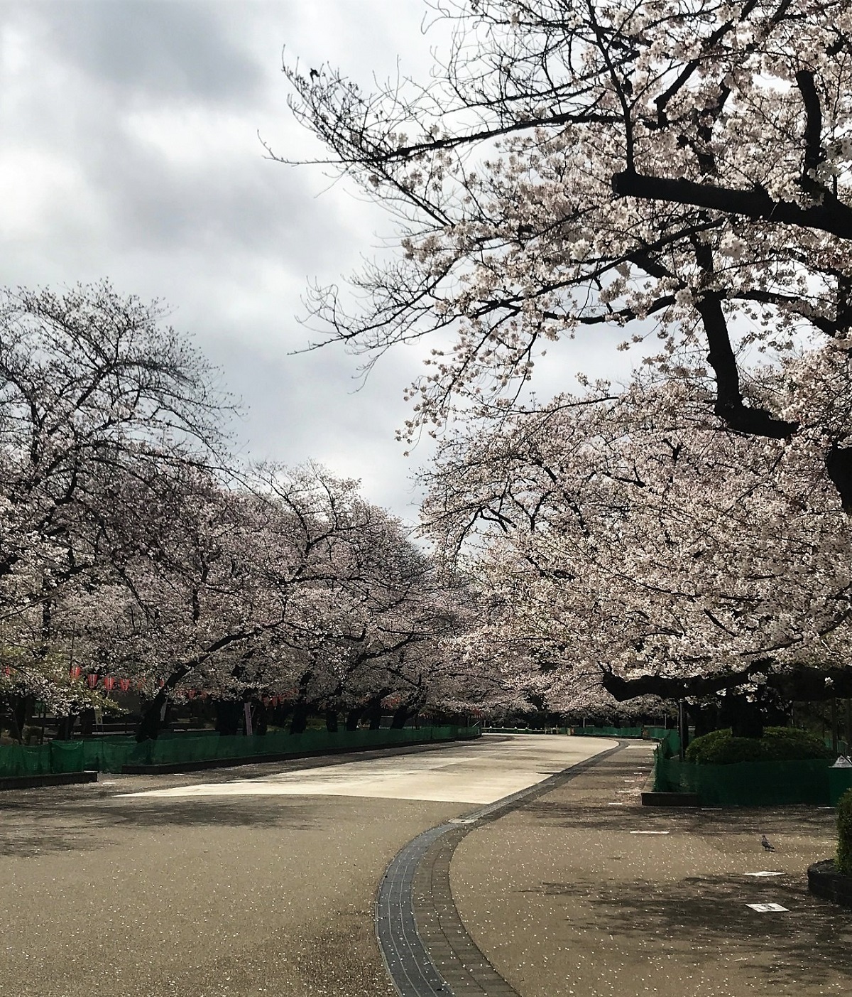 上野公園U.jpg