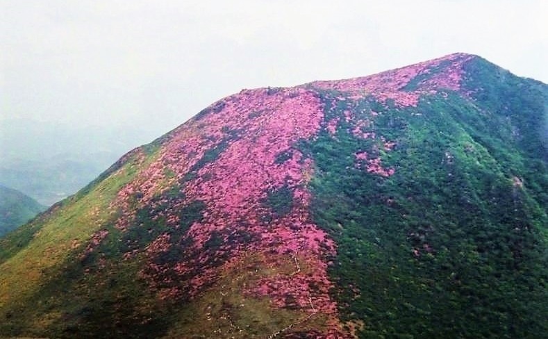 九重 平治岳.jpg