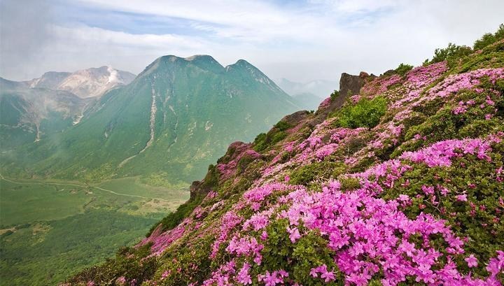 九重山.jpg