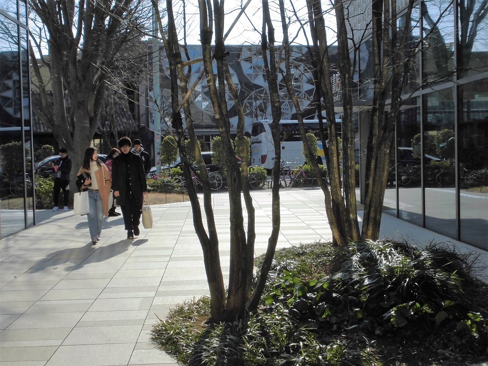 代官山蔦屋書店2.jpg