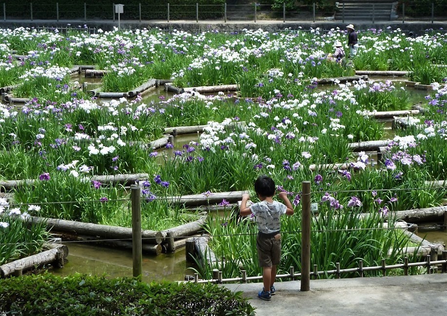 夜宮公園.jpg