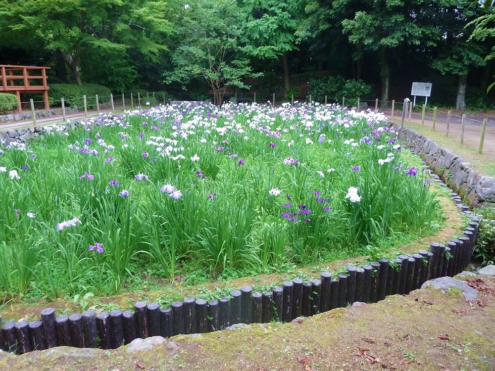 夜宮公園.jpg