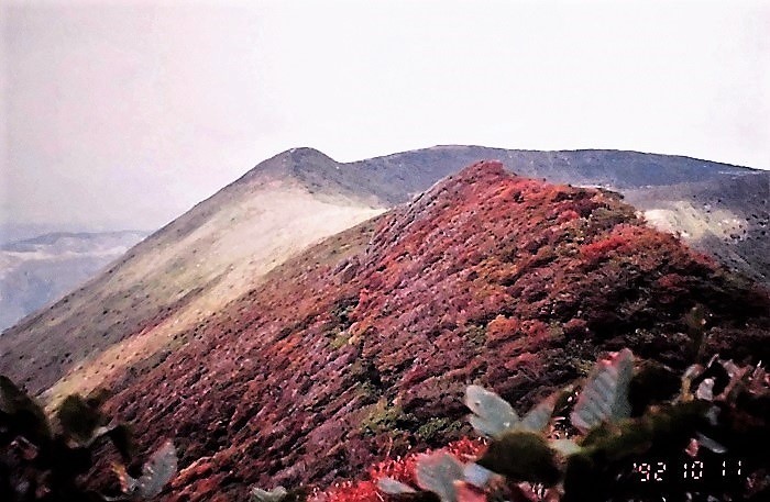 大船山&北大船山 199210.jpg