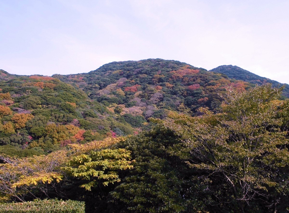 小倉 足立山系.jpg