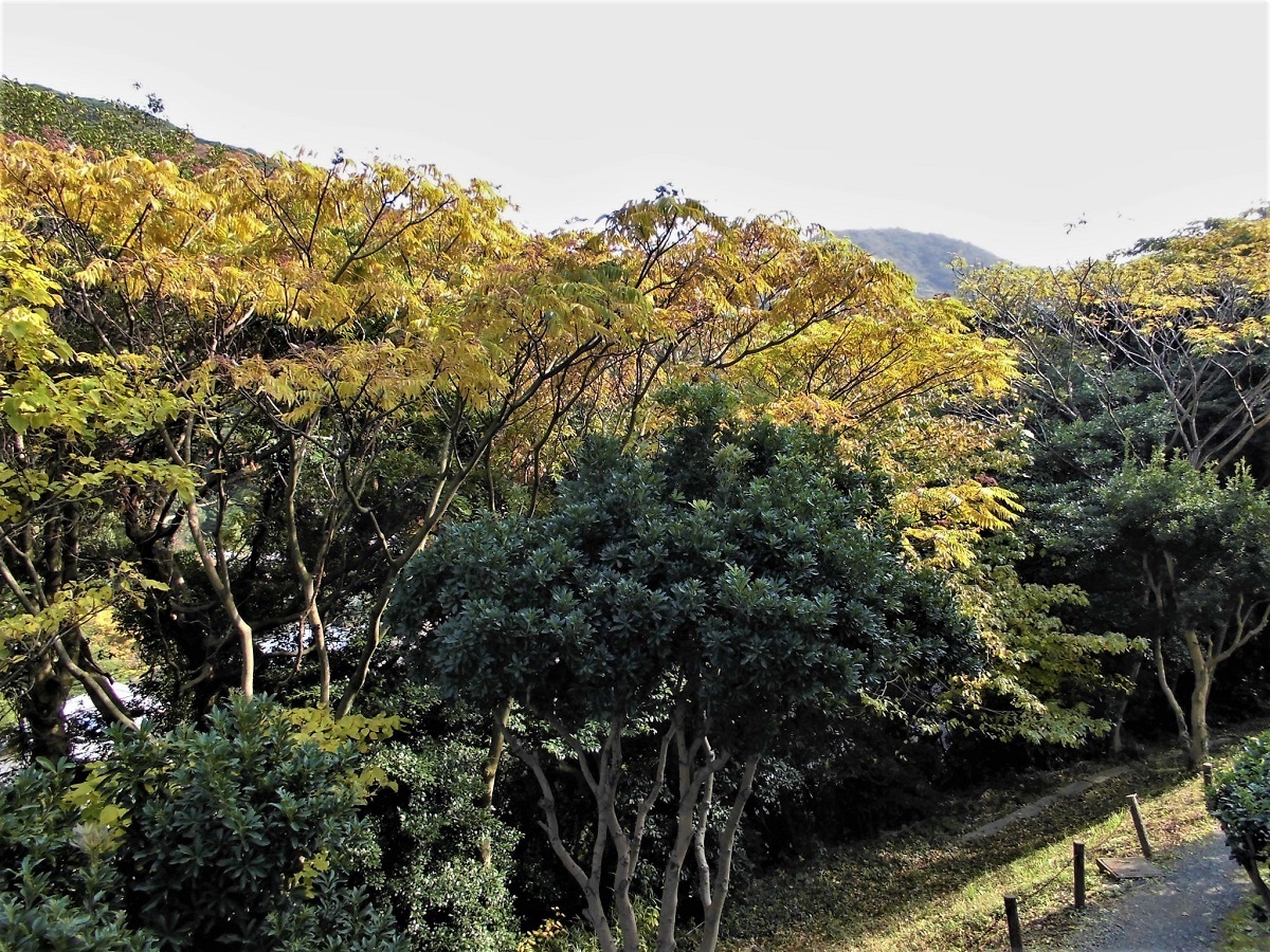 小倉 足立山系3.jpg