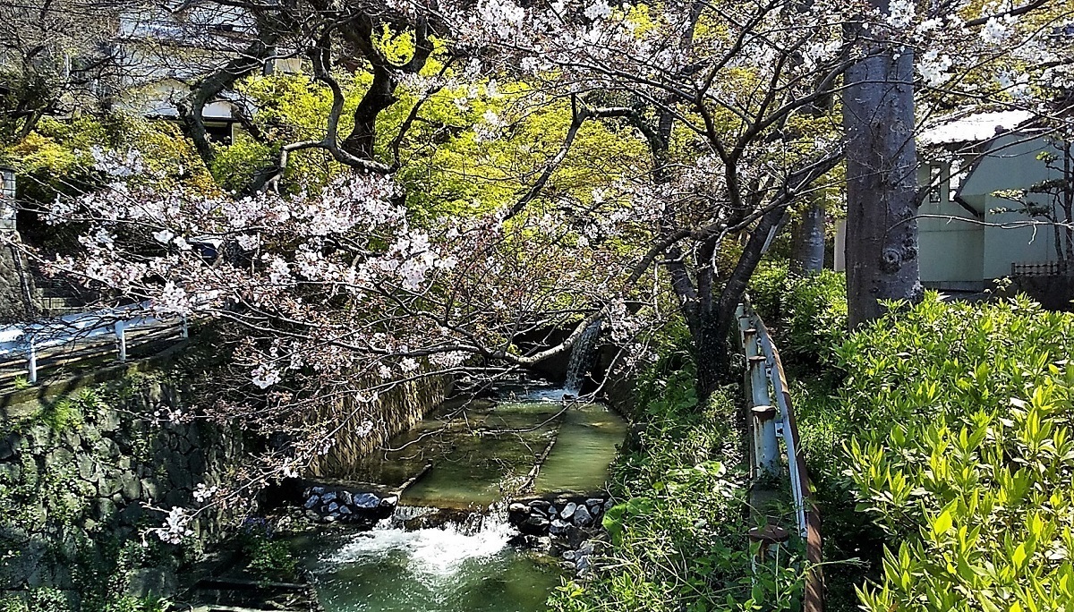 小倉北区02.jpg