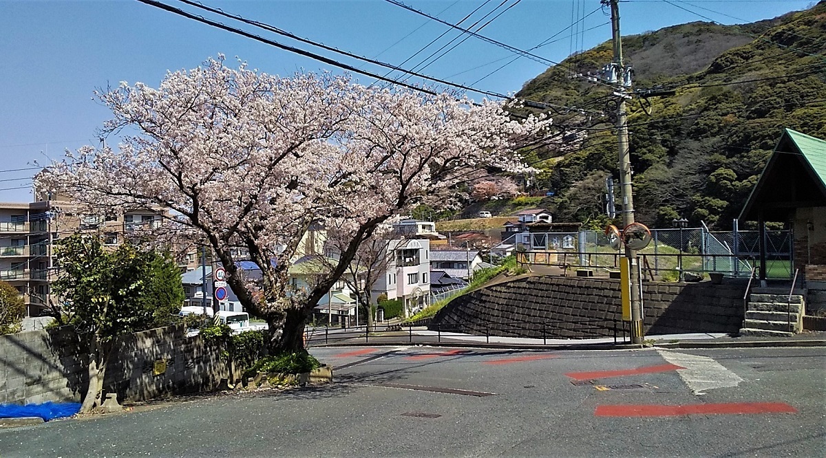 小倉北区0402@.jpg