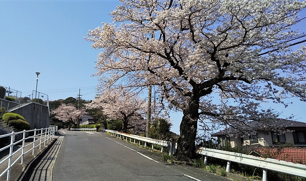小倉北区05.jpg
