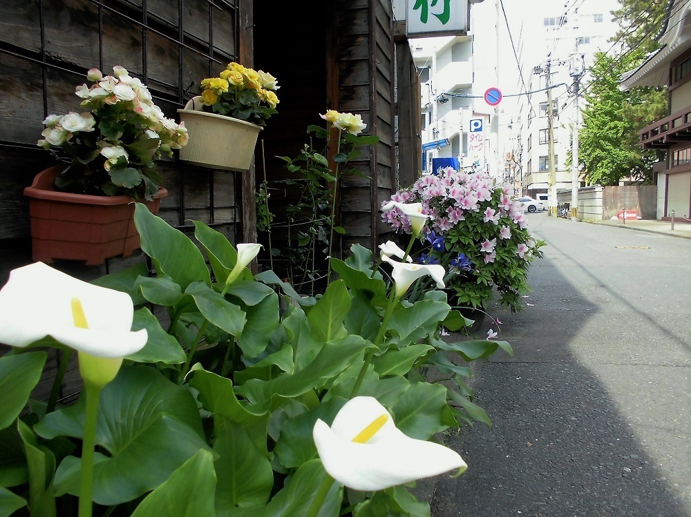 小倉北区京町.jpg