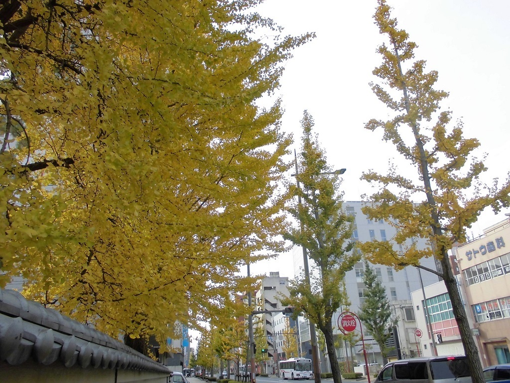 小倉北区京町3.jpg