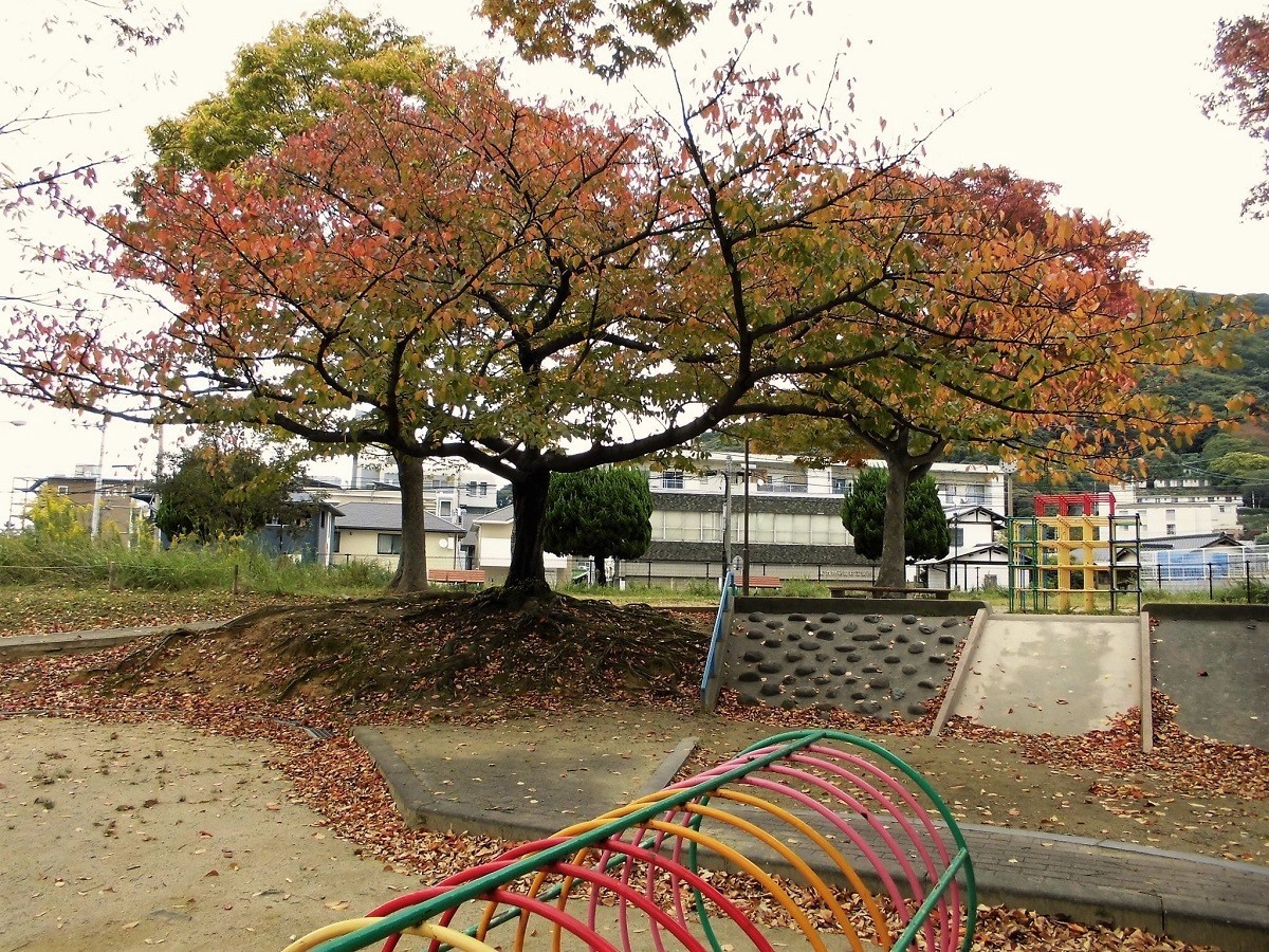 小倉北区公園.jpg