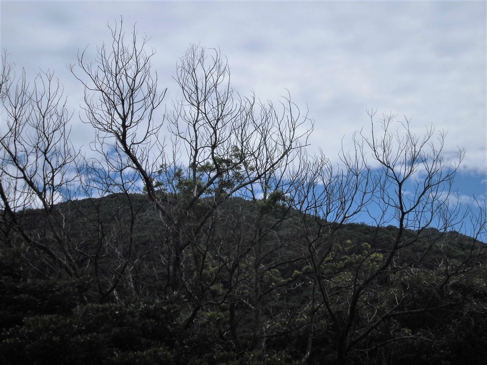 小倉北区足立山系.jpg