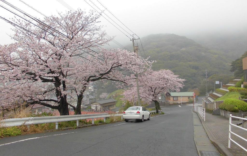 小倉北区2.jpg
