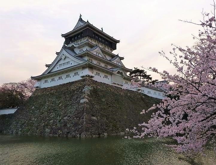 小倉城の桜.jpg