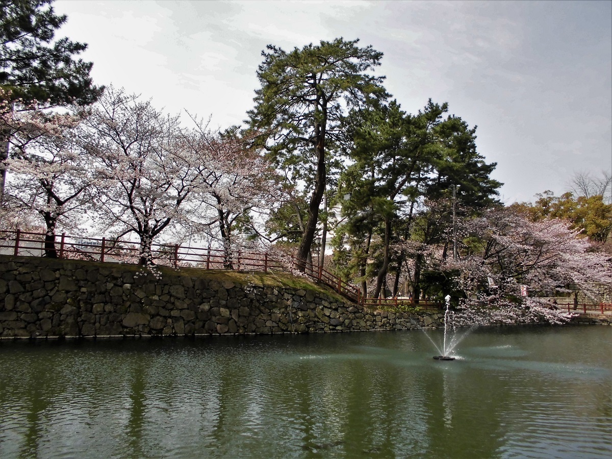 小倉城の濠.jpg