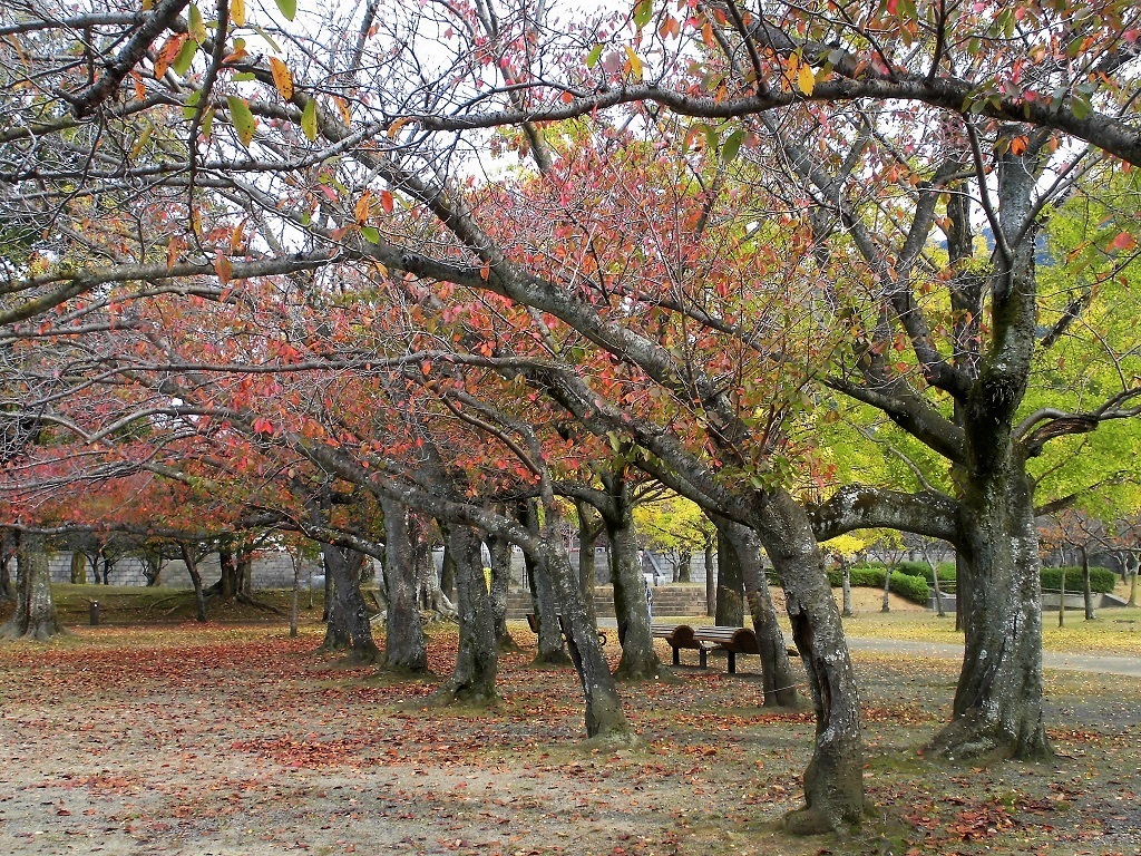 小倉平和公園2.jpg
