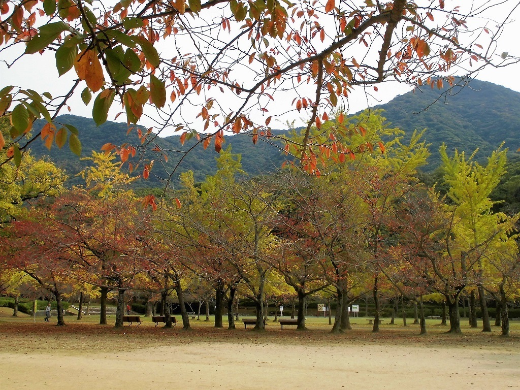 小倉平和公園3.jpg