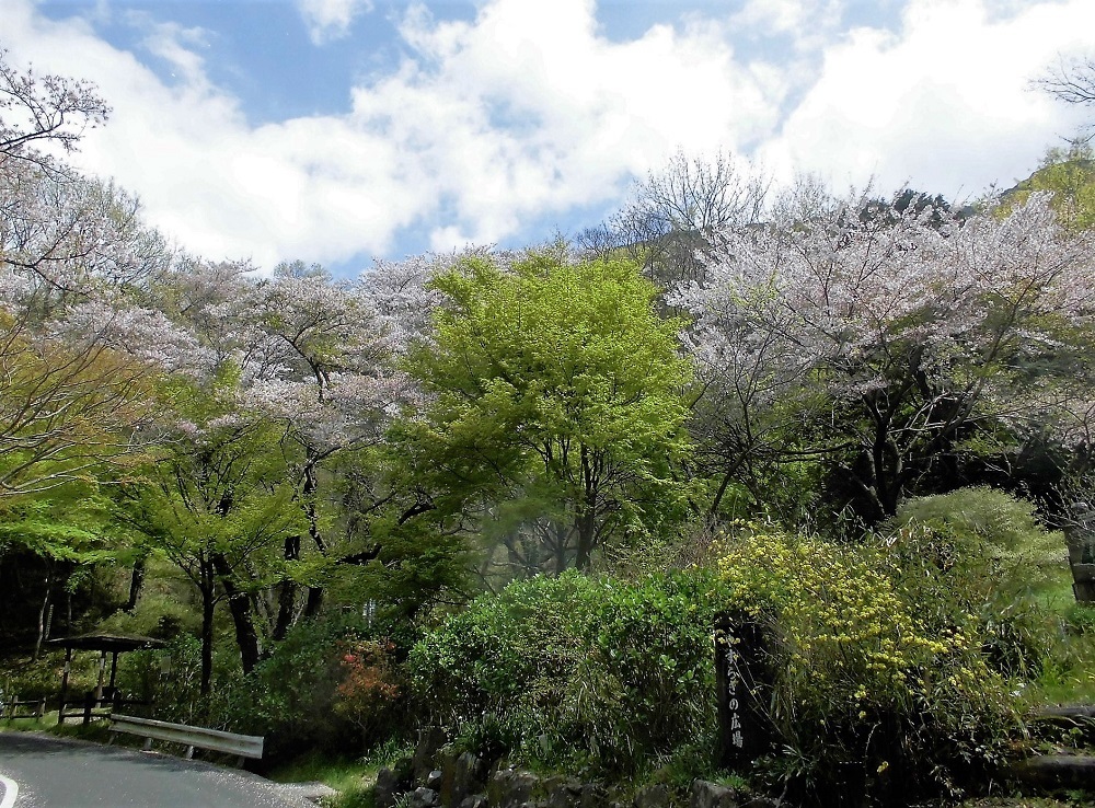 小倉足立公園.jpg