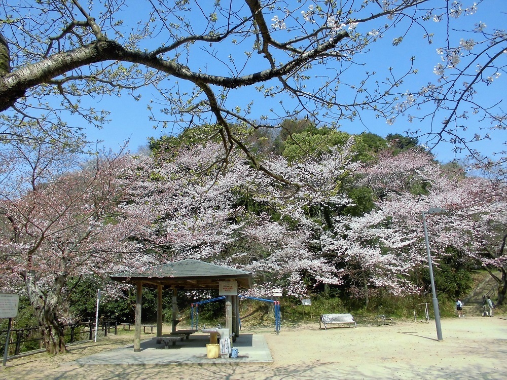 小倉足立公園2.jpg