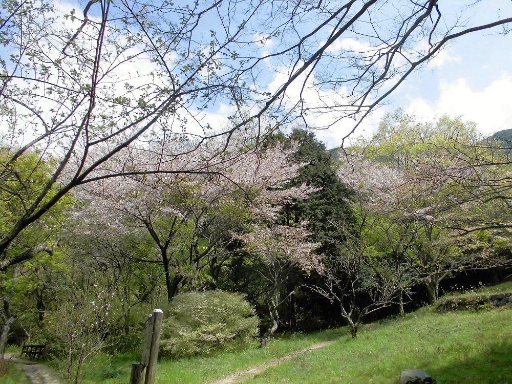 小倉足立公園3.jpg