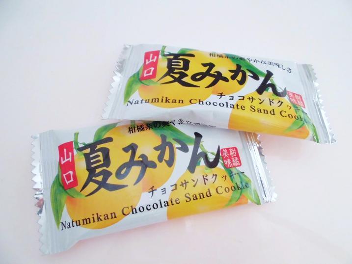 山口夏みかんチョコレートクッキー.jpg