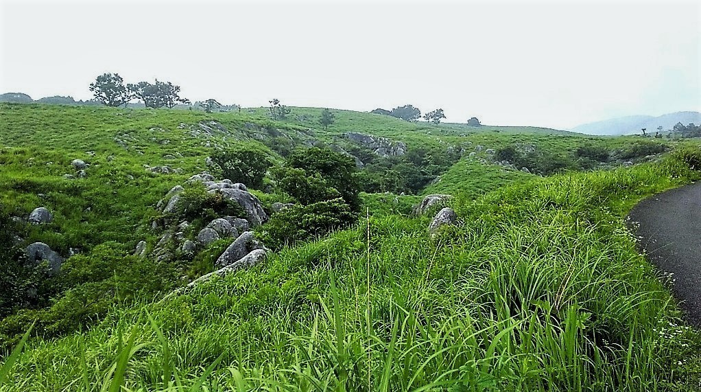 平尾台.jpg