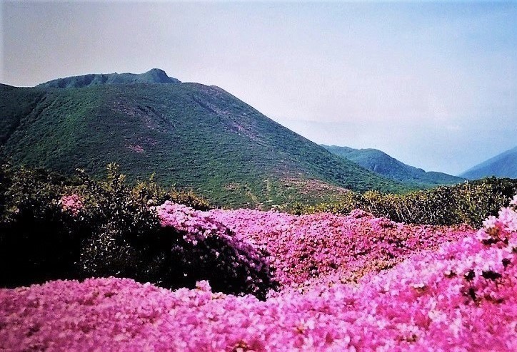 平治岳&大船山.jpg
