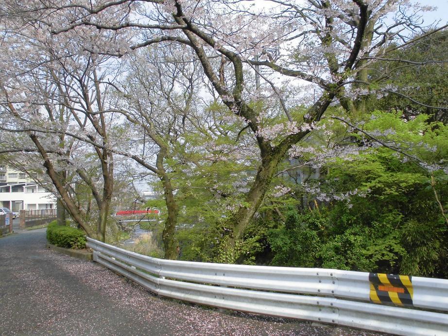 延命寺川.jpg