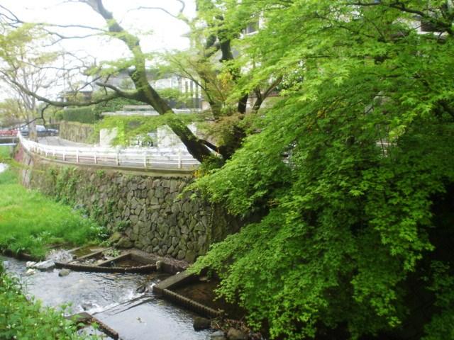延命寺川.jpg