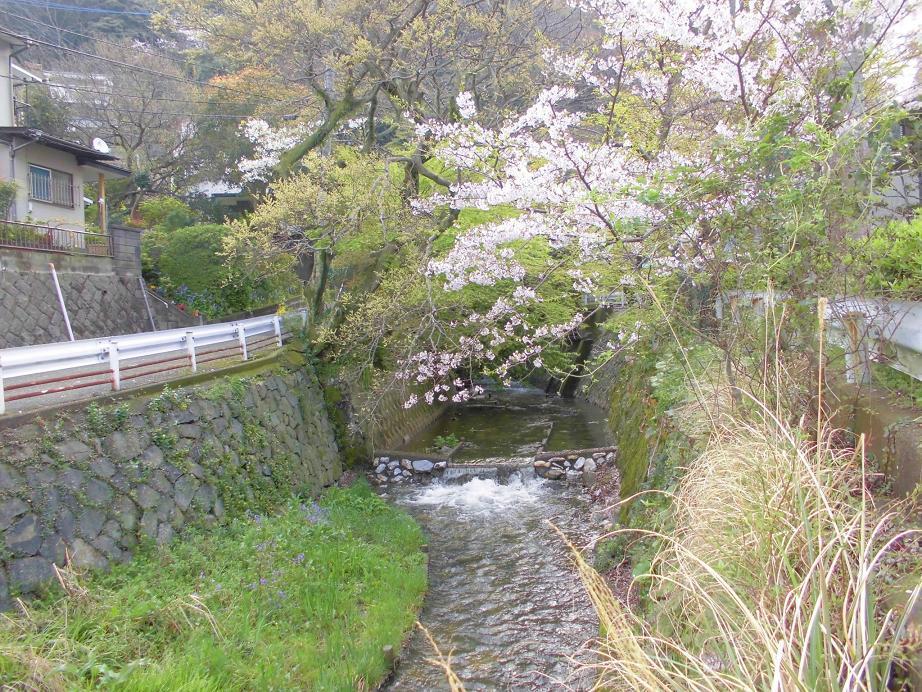 延命寺川4.jpg