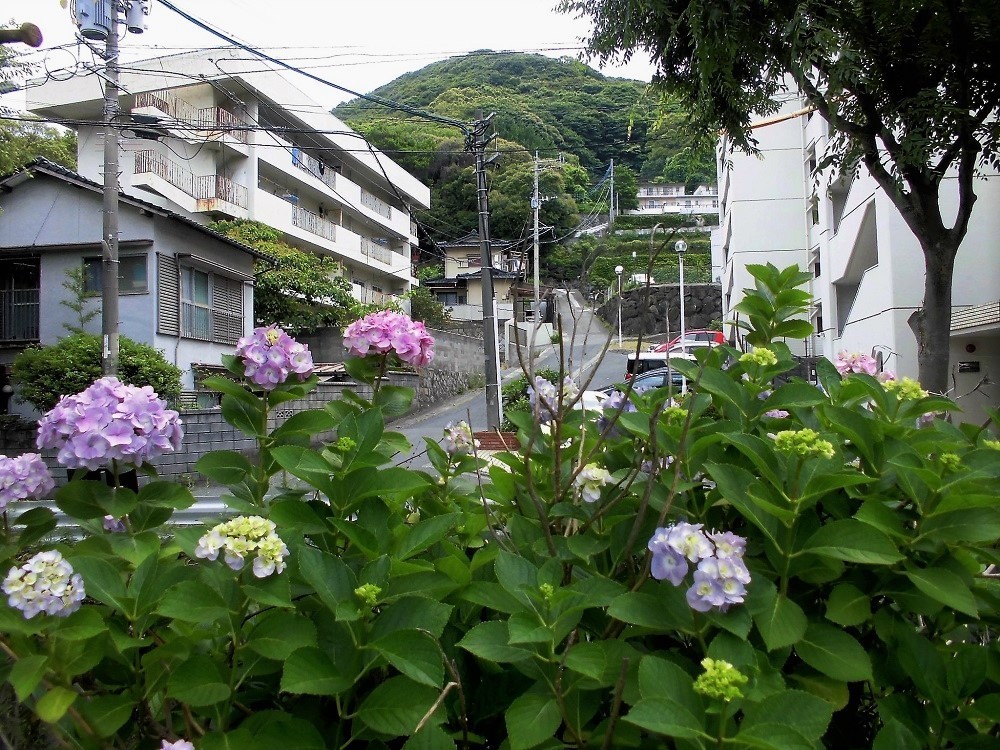 延命寺川6.jpg