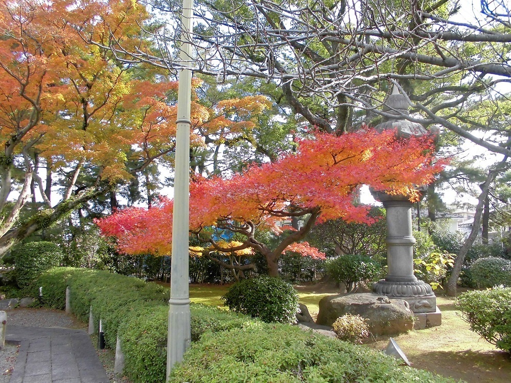旧」松本邸2.jpg