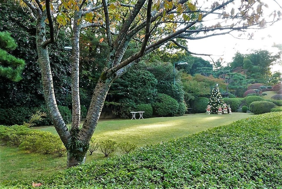 旧松本家住宅V.jpg