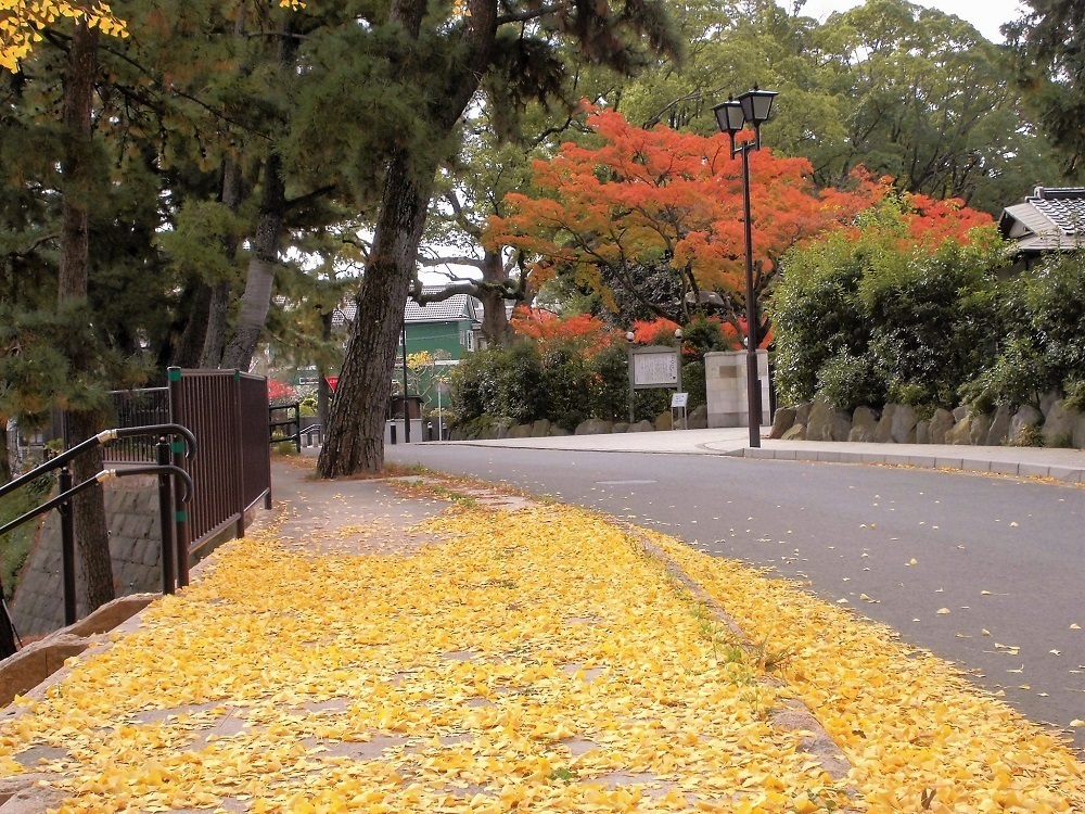 旧松本邸.jpg