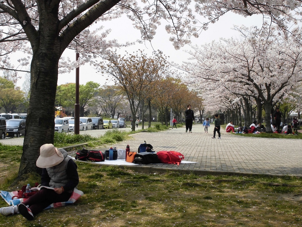 本城公園.jpg