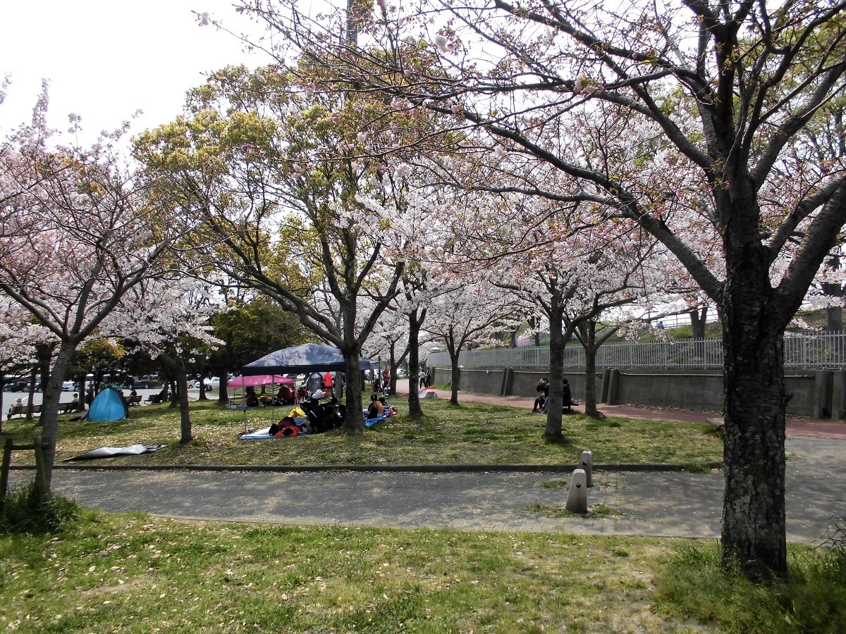 本城公園3.jpg