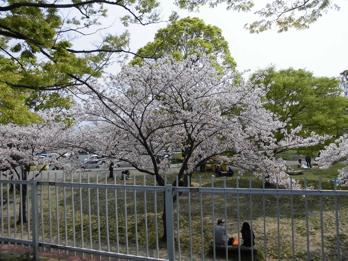 本城公園4.jpg