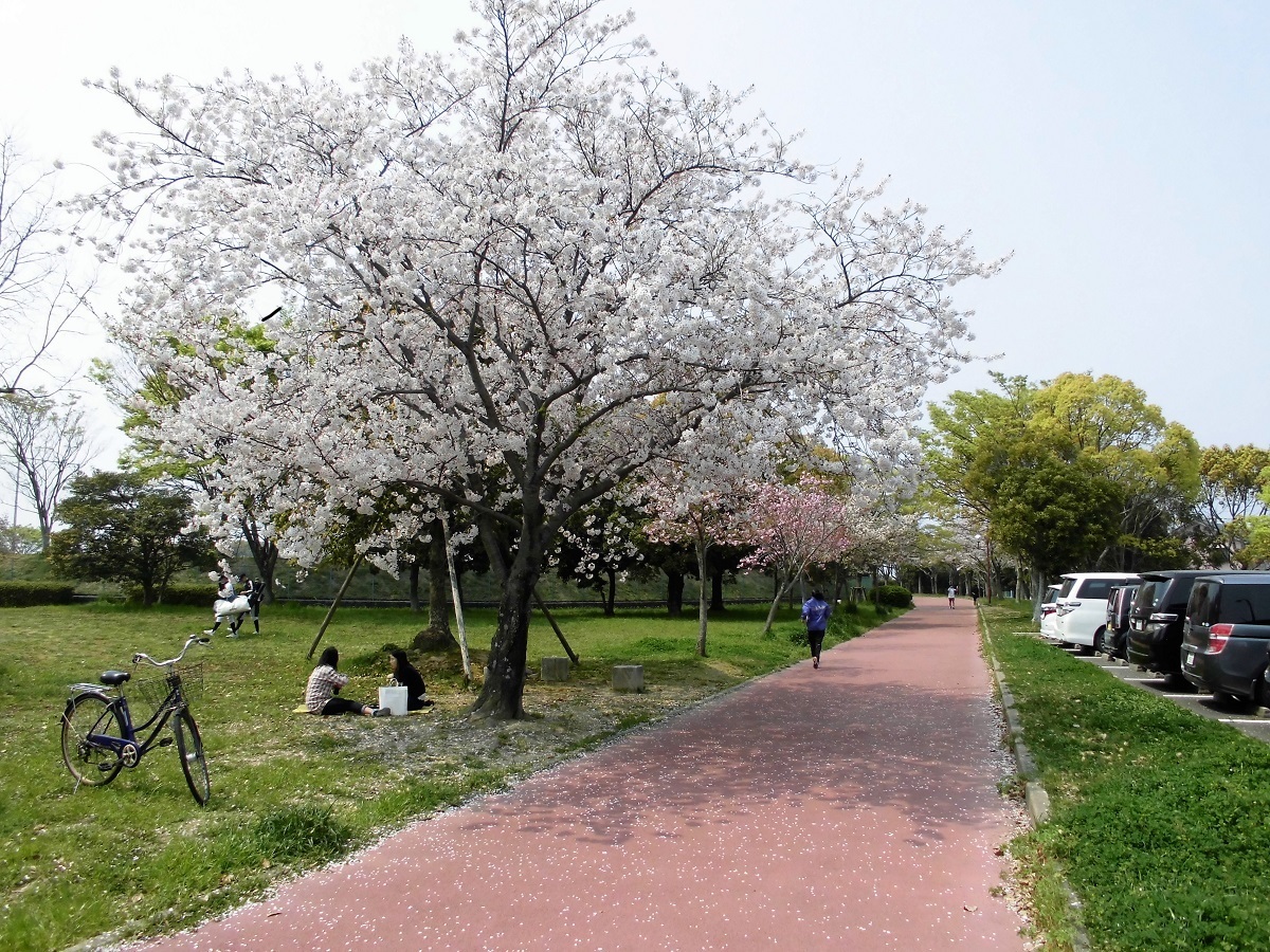 本城公園7.jpg