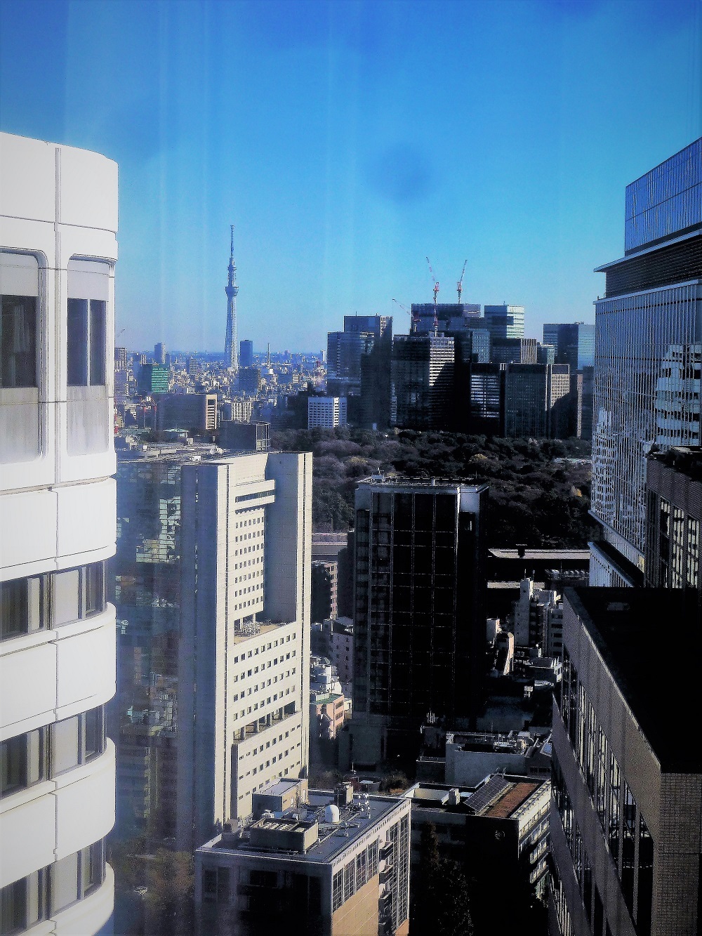東京スカイツリー201812.jpg