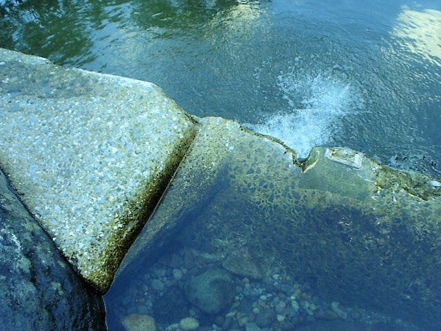 津民川河川プール9.jpg