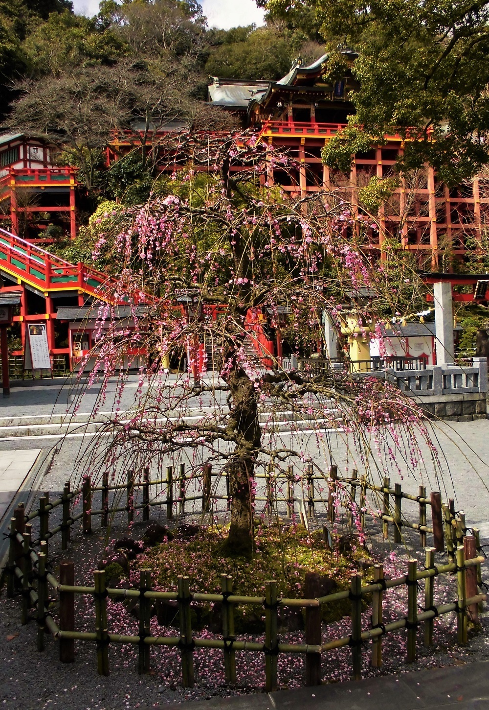 祐徳稲荷神社C.jpg